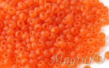 Seed Beads - 18461