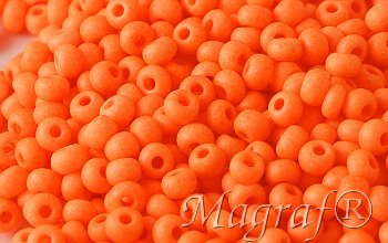 Seed Beads - 18559