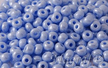 Seed Beads - 18621