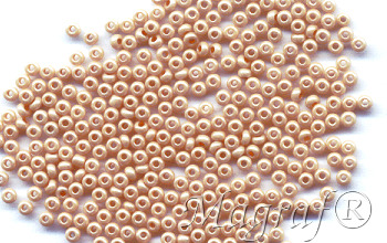 Seed Beads - 18674