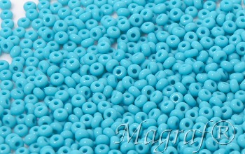 Seed Beads - 18902