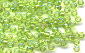 Seed Beads - 19004