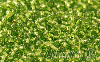 Seed Beads - 19011