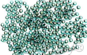 Seed Beads - 19012