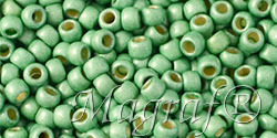 Toho beads - 19113