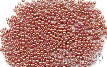Seed Beads - 19346