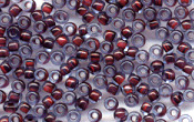 Seed Beads - 19348