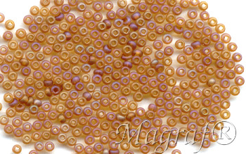 Seed Beads - 19351