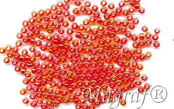 Seed Beads - 19423