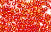 Seed Beads - 19423