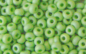 Seed Beads - 19463