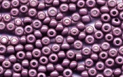 Seed Beads - 19511