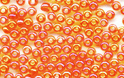 Seed Beads - 19514