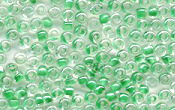 Seed Beads - 19616