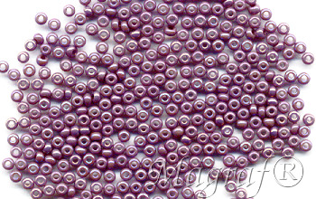 Seed Beads - 19623