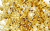 Seed Beads - 19624