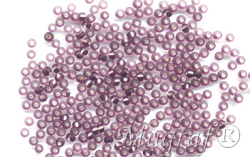 Seed Beads - 19705