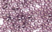 Seed Beads - 19705