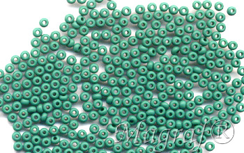 Seed Beads - 19709