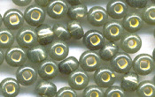 Seed Beads - 19720