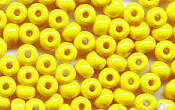 Seed Beads - 19850