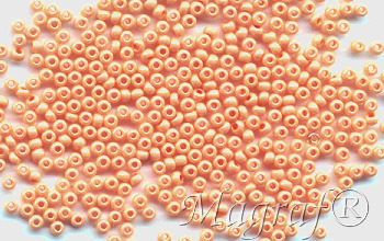 Seed Beads - 19870