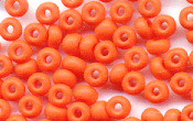 Seed Beads - 19969