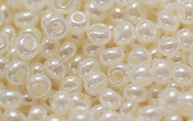 Seed Beads - 20017