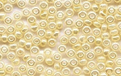 Seed Beads - 20020