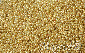 Seed Beads - 20025