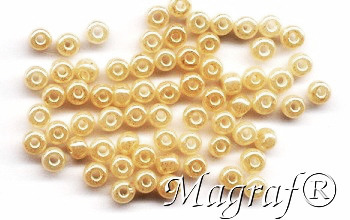 Seed Beads - 20041