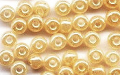 Seed Beads - 20041