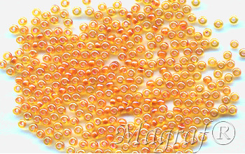 Seed Beads - 20052