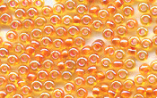 Seed Beads - 20052