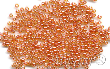 Seed Beads - 20055