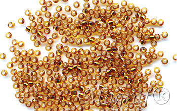 Seed Beads - 20060