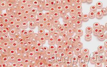 Seed Beads - 20389