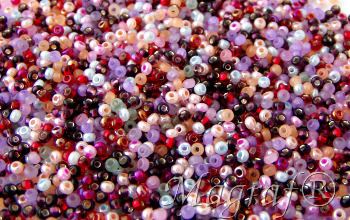 Seed Beads - 20540
