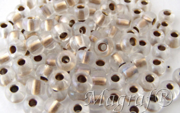 Seed Beads - 20555