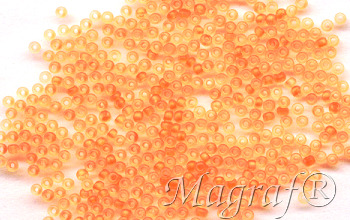 Seed Beads - 20607