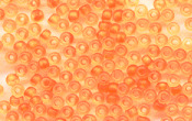 Seed Beads - 20607