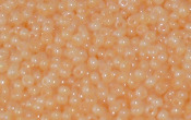 Seed Beads - 20608