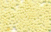 Seed Beads - 20613