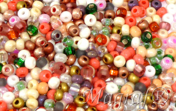 Seed Beads - 20615