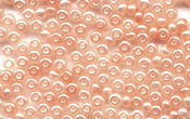 Seed Beads - 20618