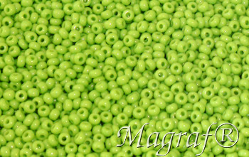 Seed Beads - 20653