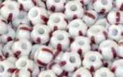 Seed Beads - 20666