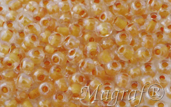 Seed Beads - 20667