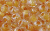 Seed Beads - 20667