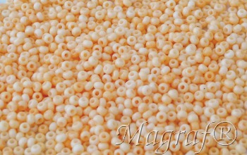 Seed Beads - 20749